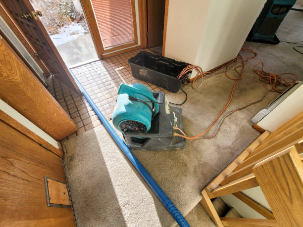 Best Professional water damage repair  in Cairo, NE