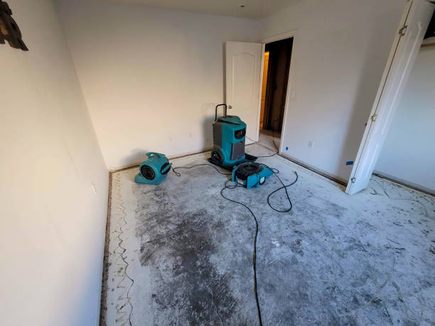 Best Local water damage restoration  in Cairo, NE