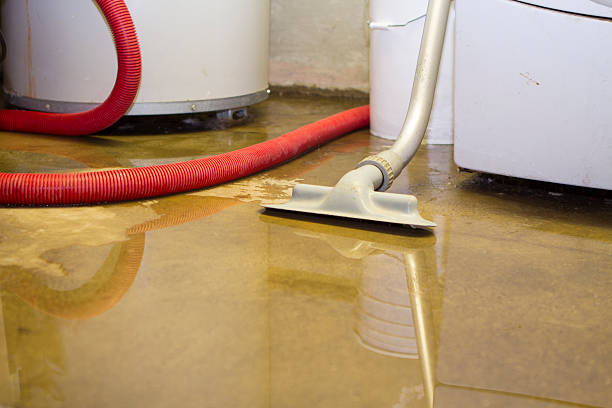 Best Commercial water damage restoration  in Cairo, NE