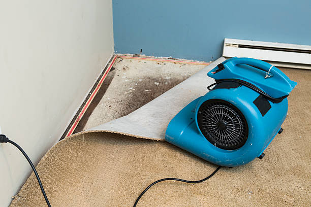 Best Water damage restoration services  in Cairo, NE